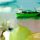 Мастер-класс по масляной живописи «Купающиеся в облаках», пейзажи Виктора Подгорного