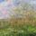 Мастер-класс по масляной живописи «Пейзажи по мотивам работ О.К. Моне»
