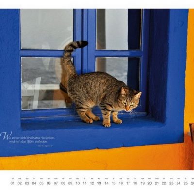 Мастер-класс по масляной живописи «Кошки в окошке»