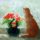 Мастер-класс по масляной живописи «Цветы и кошки»